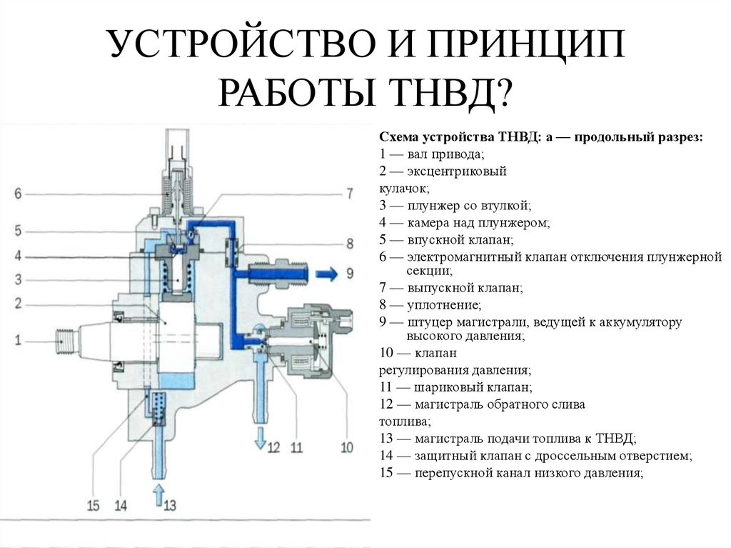 08_Yn4bmYa.jpg 08_Yn4bmYa.jpg